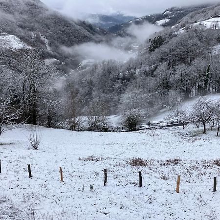 Вилла La So Casa -En El Corazon De Asturias Армьельо Экстерьер фото
