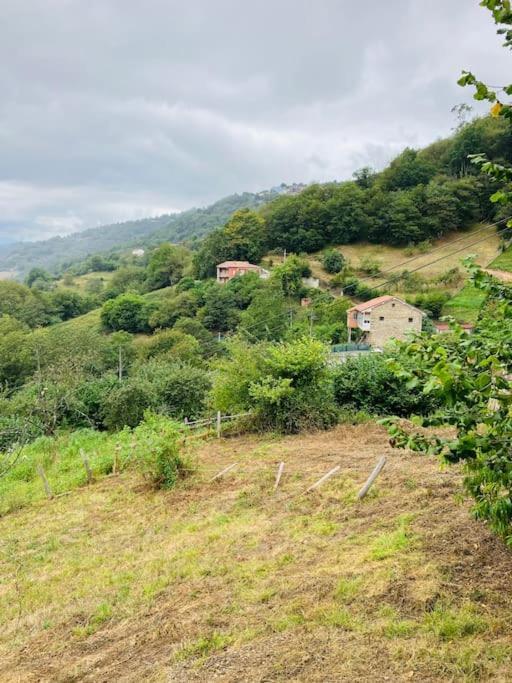 Вилла La So Casa -En El Corazon De Asturias Армьельо Экстерьер фото